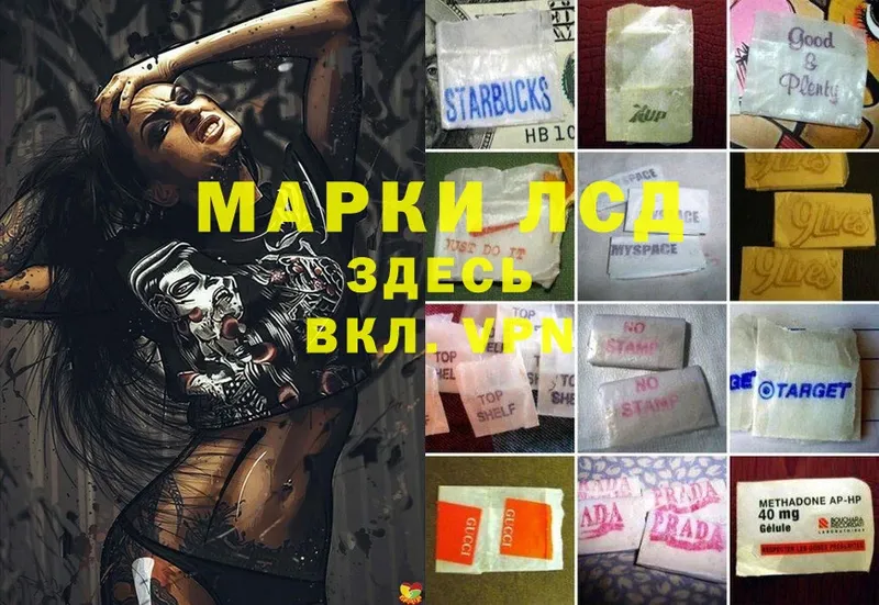 LSD-25 экстази ecstasy  МЕГА рабочий сайт  Правдинск 